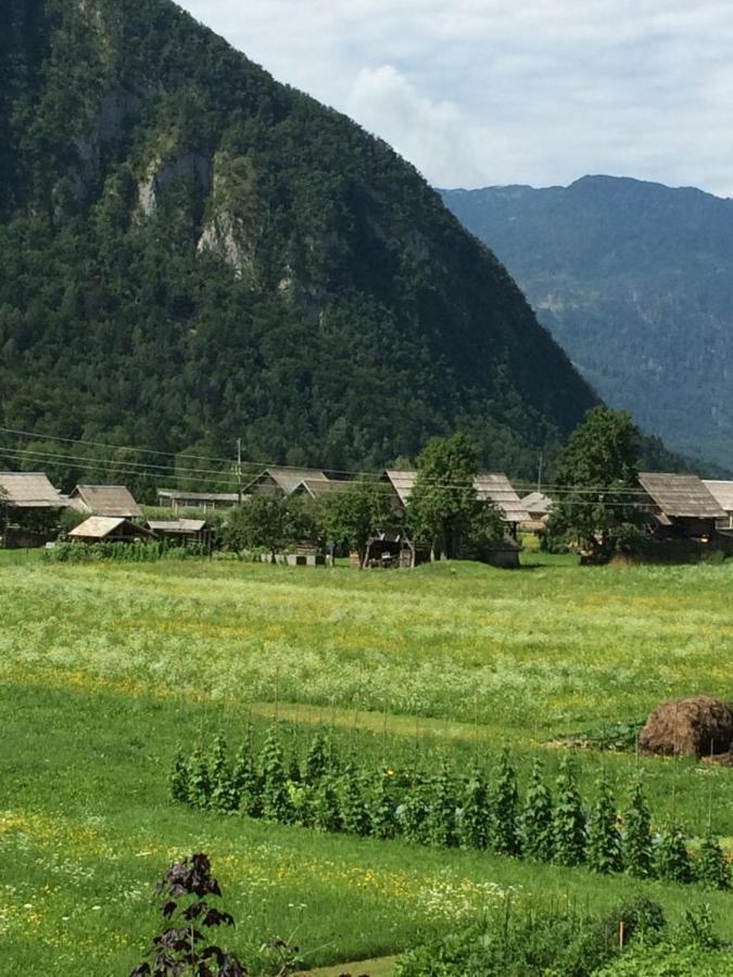 2 studio&apartment Cvetek Bohinj Buitenkant foto